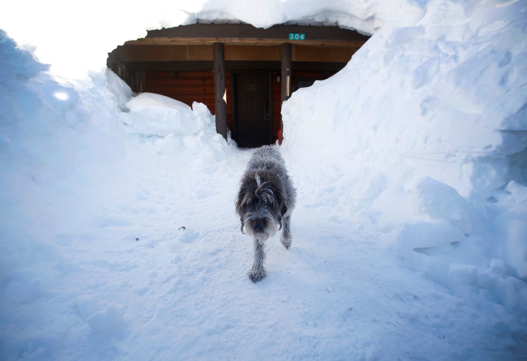 Cooke City Snowpack